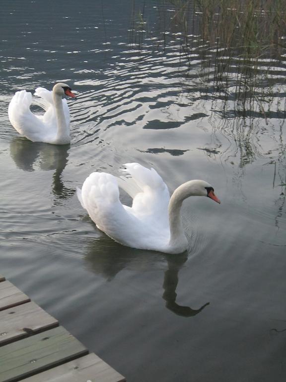 Seehaus Karantanien Am Ossiacher See Zewnętrze zdjęcie